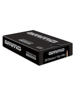 Ammo Inc Signature Match .300 Blackout Rifle Ammo - 110 Grain | V-Max